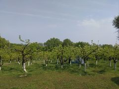 -西安浐灞国家湿地公园