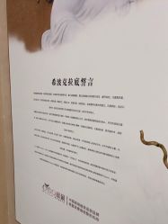 -熙朵美学植发连锁