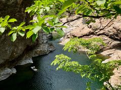 -黑河国家森林公园