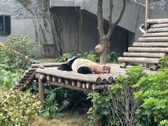 -柳州市动物园