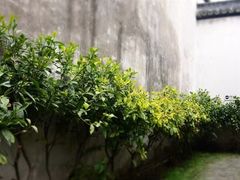 -乌镇东栅景区