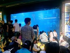 -石家庄海洋公园