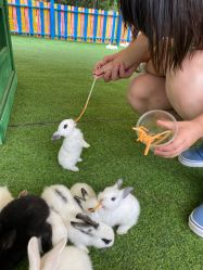 -萌宠亲子动物乐园(槐房万达店)