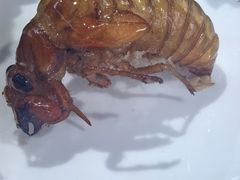 -村东第一家私房菜馆(古北水镇店)