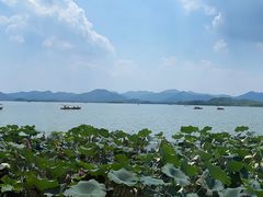 -湖畔居茶楼(湖滨店)