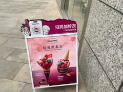 -哈根达斯(西安高新店)
