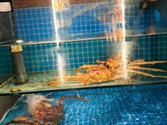 -隐炉和牛烧肉店(群力店)