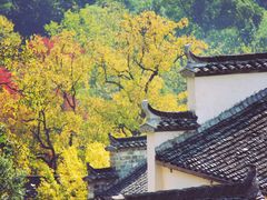 -塔川景区