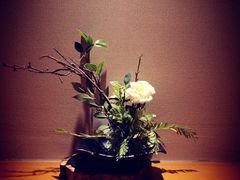 -汤泉良子(金源店)