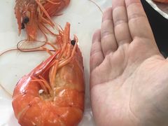 -桂哥海鲜城