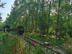 -合肥滨湖国家森林公园