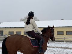 -北京群众马术培训基地