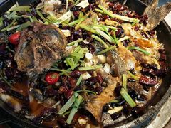 -老板恋上鱼(恒隆广场店)