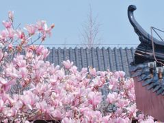 -堤角公园