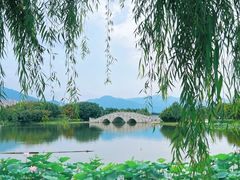 -飞来湖湿地公园