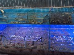 -海韵之星邮轮水会(明发商业广场店)