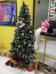 -洗脸猫·洗脸吧(北京大兴大悦春风里店)