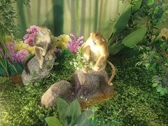 -西霞口神雕山野生动物世界