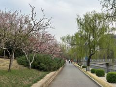 -元大都城垣遗址公园