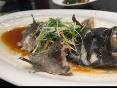 -渔人码头(中南店)