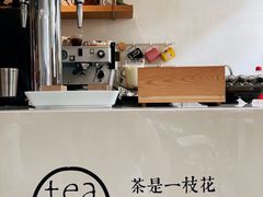 -茶是一枝花泡茶店