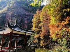 -水濂山森林公园