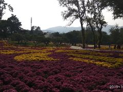 -北京植物园-展览温室