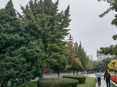 -东北大学(南湖校区)