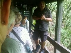 -怀托摩萤火虫洞