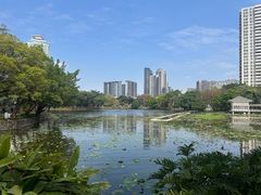 -荔湾湖公园