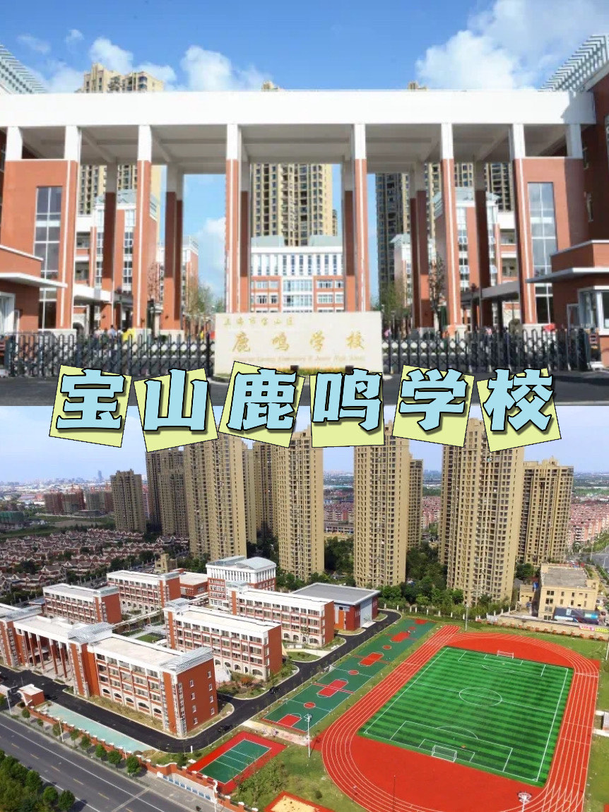 宝山鹿鸣小学图片