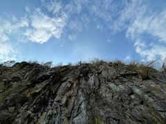 -黄埔油麻山森林公园