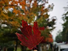 -辽宁大学(崇山校区)