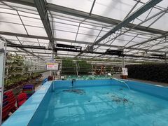 -兴芮温泉度假区