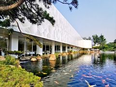 -罗红摄影艺术馆