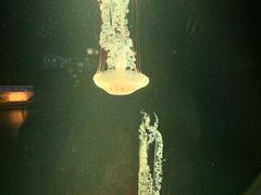 -欢乐海岸海洋奇梦馆