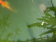 -燊海井
