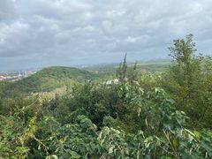 -上海佘山国家森林公园西佘山园