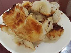 -东门饺子馆(少年宫路店)