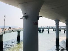 -演武大桥观景平台