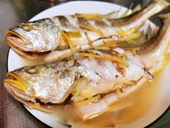 冰鲜黄花鱼-七鲜超市(华宇时尚购物中心店)