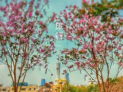 -海珠湖公园