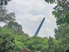 -合肥野生动物园