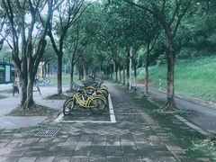 -华南师范大学(广州大学城校区)