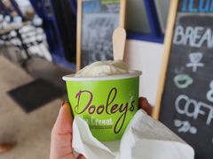 -Dooley's Premium Ice Cream