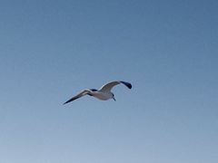 -山海广场
