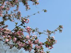 -铁像寺水街