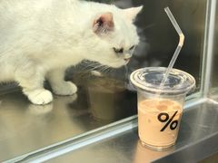 -% Arabica阿拉比卡咖啡(武康路店)
