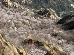 -北京凤凰岭