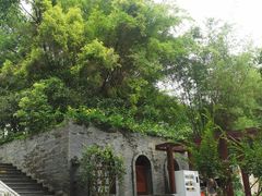 -深圳国际园林花卉博览园